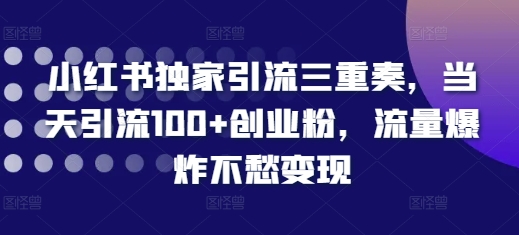 小红书独家引流三重奏，当天引流100+创业粉，流量爆炸不愁变现【揭秘】-禾谷轻创网