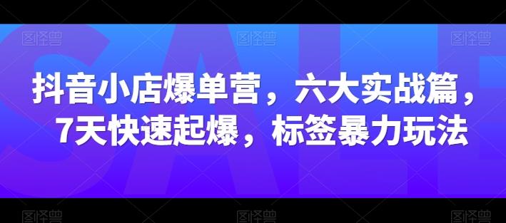 抖音小店爆单营，六大实战篇，7天快速起爆，标签暴力玩法-禾谷轻创网