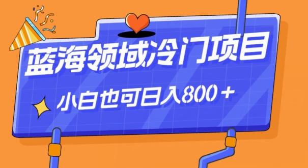 蓝海领域冷门赛道，一单39.9，日入800＋-禾谷轻创网