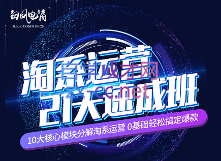 淘系运营21天速成班(更新7月)-禾谷轻创网