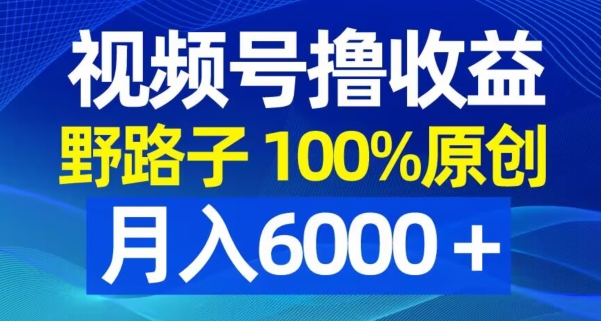 视频号野路子撸收益，100%原创，条条爆款，月入6000＋【揭秘】-禾谷轻创网