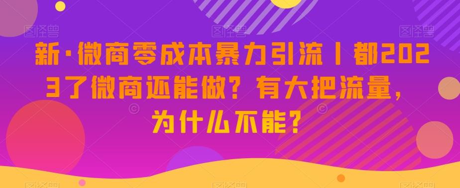 新·微商零成本暴力引流丨都2023了微商还能做？有大把流量，为什么不能？-禾谷轻创网
