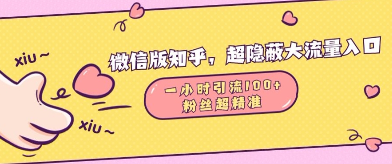 微信版知乎，超隐蔽流量入口1小时引流100人，粉丝质量超高【揭秘】-禾谷轻创网