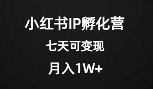 价值2000+的小红书IP孵化营项目，超级大蓝海，七天即可开始变现，稳定月入1W+-禾谷轻创网