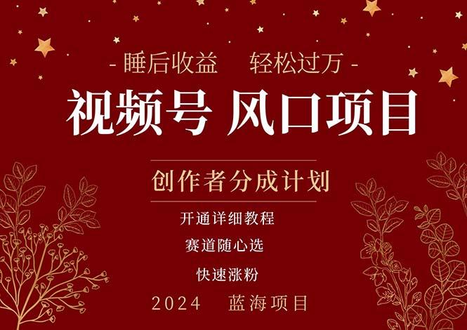 拥有睡眠收益的微信视频号大风口项目，轻松月入过万+，多赛道选择，可…-禾谷轻创网