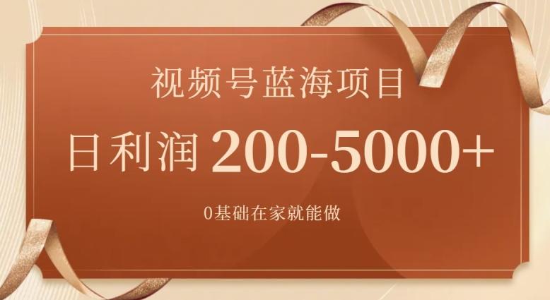 外边收费699视频号项目，最新玩法，简单好操作，一人可做，日四位数-禾谷轻创网