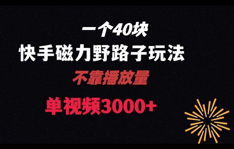 一个40块，快手联合美团磁力新玩法，无视机制野路子玩法，单视频收益4位数【揭秘】-禾谷轻创网