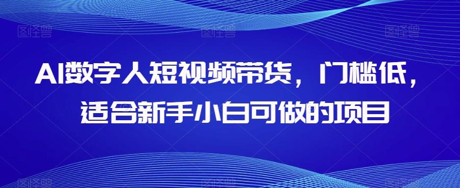 AI数字人短视频带货，门槛低，适合新手小白可做的项目-禾谷轻创网
