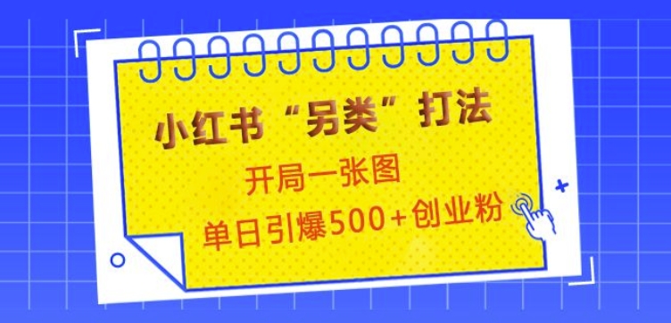 小红书“另类”打法，开局一张图，单日引爆500+精准创业粉【揭秘】-禾谷轻创网