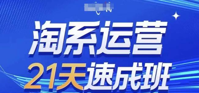淘系运营21天速成班(更新24年7月)，0基础轻松搞定淘系运营，不做假把式-禾谷轻创网