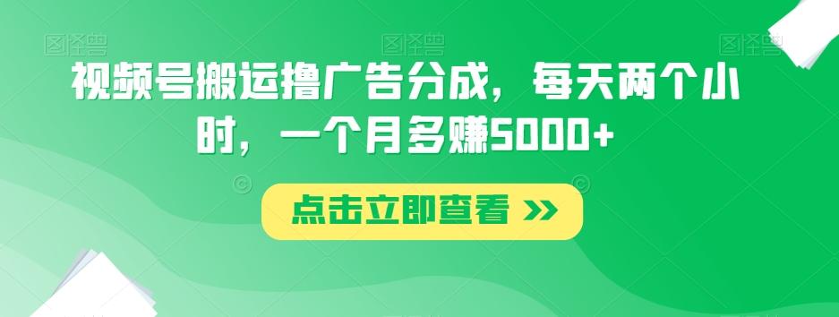视频号搬运撸广告分成，每天两个小时，一个月多赚5000+-禾谷轻创网