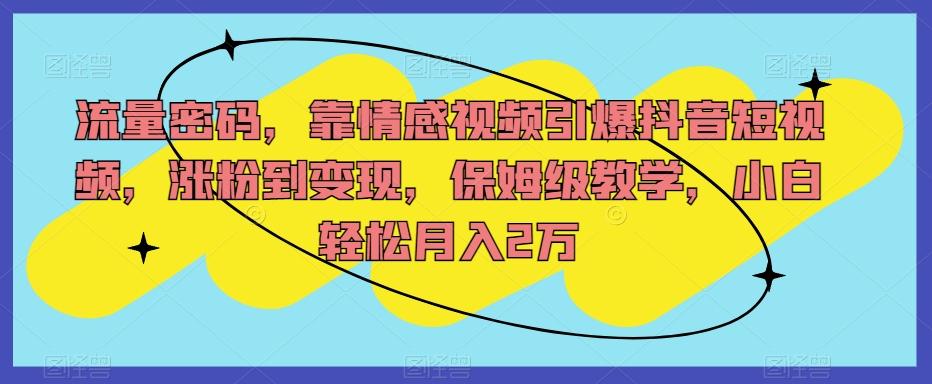 流量密码，靠情感视频引爆抖音短视频，涨粉到变现，保姆级教学，小白轻松月入2万【揭秘】-禾谷轻创网