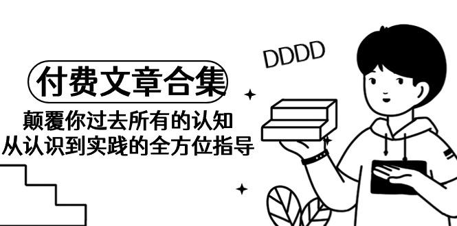 (9646期)《某公众号付费文章合集》颠覆你过去所有的认知 从认识到实践的全方位指导-禾谷轻创网
