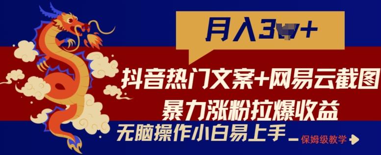 抖音热门文案+网易云截图暴力涨粉拉爆收益玩法，小白无脑操作，简单易上手【揭秘】-禾谷轻创网