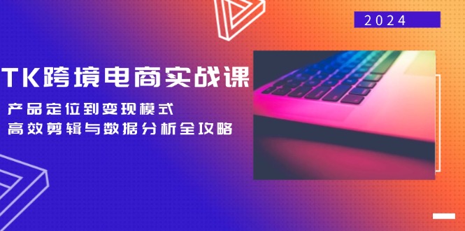 TK跨境电商实战课：产品定位到变现模式，高效剪辑与数据分析全攻略-禾谷轻创网
