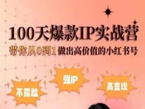 小红书100天爆款IP实战营，带你从0到1做出高价值的小红书号-禾谷轻创网