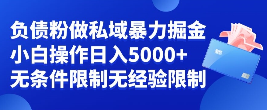 负债粉私域暴力掘金，小白操作入5000，无经验限制，无条件限制【揭秘】-禾谷轻创网