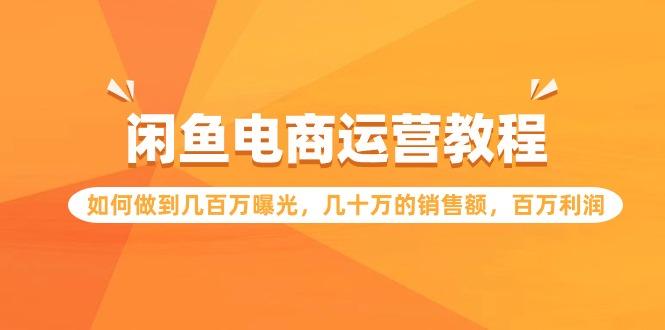 (9560期)闲鱼电商运营教程：如何做到几百万曝光，几十万的销售额，百万利润-禾谷轻创网