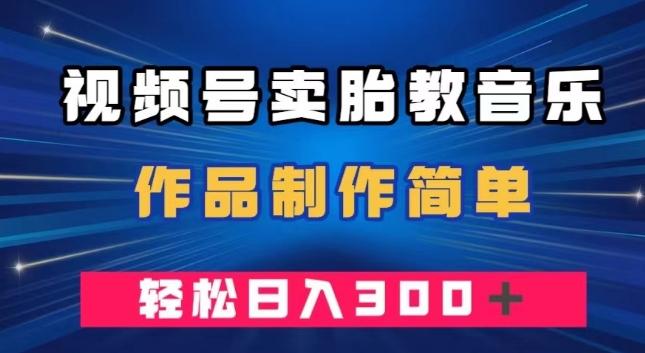 视频号卖胎教音乐，作品制作简单，一单49，轻松日入300＋-禾谷轻创网