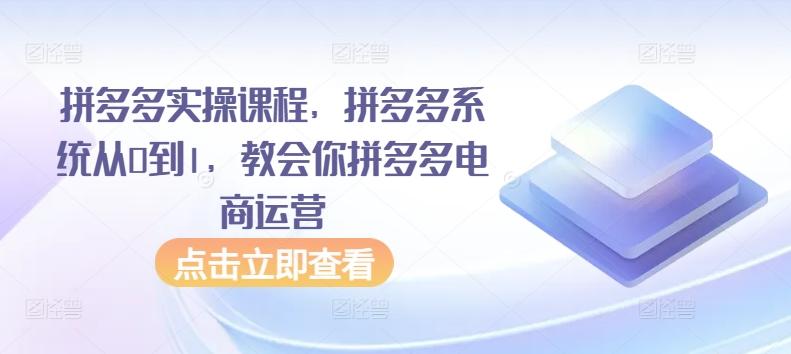 拼多多实操课程，拼多多系统从0到1，教会你拼多多电商运营-禾谷轻创网