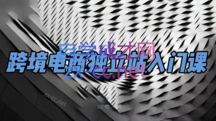 团长·跨境电商独立站入门课(2小时精华)-禾谷轻创网