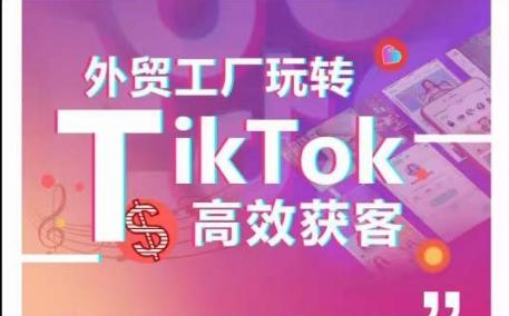 外贸工厂玩转TikTok高效获客，多种引流方式与账号定位技巧，拆解爆款短视频打造成功案例-禾谷轻创网