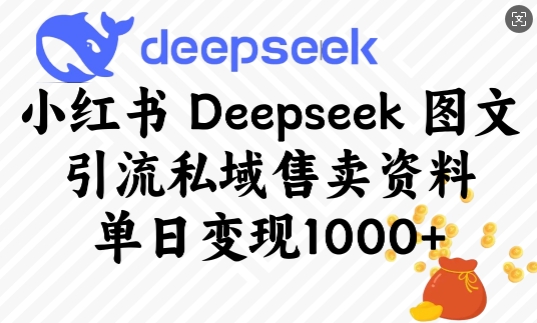 小红书Deepseek图文引流私域售卖资料，单日变现多张-禾谷轻创网