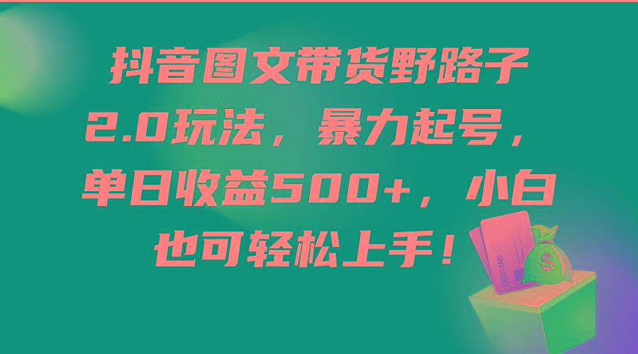 (9790期)抖音图文带货野路子2.0玩法，暴力起号，单日收益500+，小白也可轻松上手！-禾谷轻创网