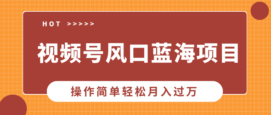 视频号风口蓝海项目，中老年人的流量密码，操作简单轻松月入过万-禾谷轻创网