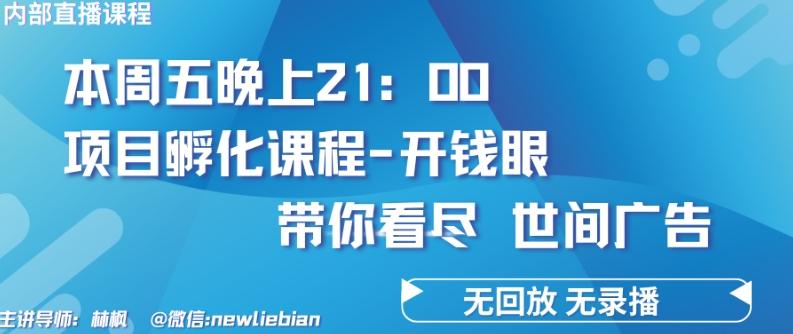 4.26日内部回放课程《项目孵化-开钱眼》赚钱的底层逻辑【揭秘】-禾谷轻创网