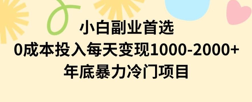 小白副业首选，0成本投入，每天变现1000-2000年底暴力冷门项目【揭秘】-禾谷轻创网