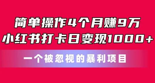 简单操作4个月赚9w，小红书打卡日变现1k，一个被忽视的暴力项目【揭秘】-禾谷轻创网