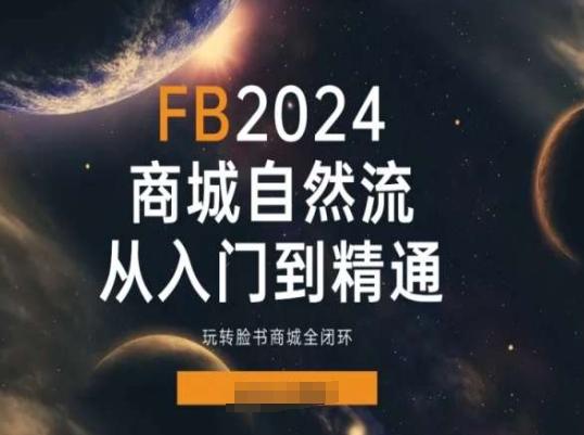 2024Faceboo商城自然流(从入门到精通)，玩转脸书商城全闭环-禾谷轻创网