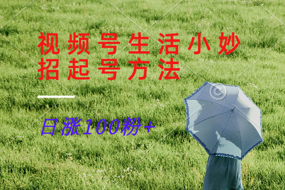 视频号生活小妙招分享赛道， 起号涨粉新方法，日涨100粉-禾谷轻创网