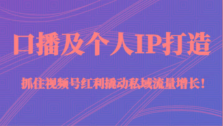 口播及个人IP打造，抓住视频号红利撬动私域流量增长！（45节课）-禾谷轻创网