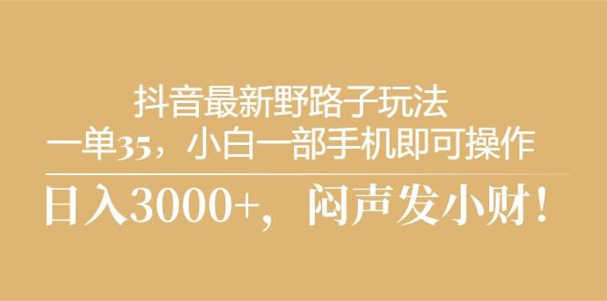 抖音最新野路子玩法，一单35，小白一部手机即可操作，，日入3000+，闷…-禾谷轻创网