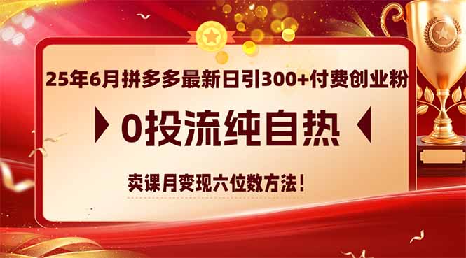 25年6月拼多多最新日引300+付费创业粉，0投流纯自热 卖课月变现六位数方法-禾谷轻创网
