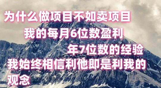 做项目不如卖项目，每月6位数盈利，年7位数经验-禾谷轻创网