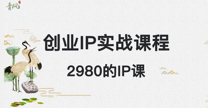 外边卖2980的创业IP课程，做私域月入5w+-禾谷轻创网