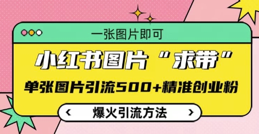 小红书图片‘求带’爆火引流法，单张图片引流500+精准创业粉【揭秘】-禾谷轻创网