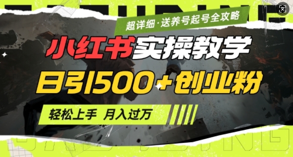2月小红书最新日引500+创业粉实操教学【超详细】小白轻松上手，月入1W+，附小红书养号起号SOP-禾谷轻创网