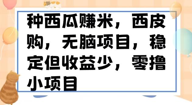 种西瓜赚米，西皮购稳定长久零撸小项目-禾谷轻创网