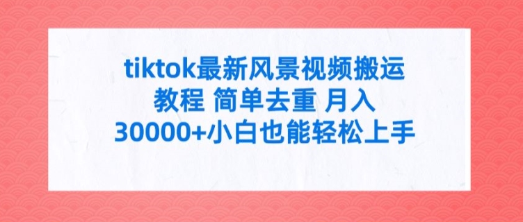 tiktok最新风景视频搬运教程 简单去重 月入3W+小白也能轻松上手【揭秘】-禾谷轻创网