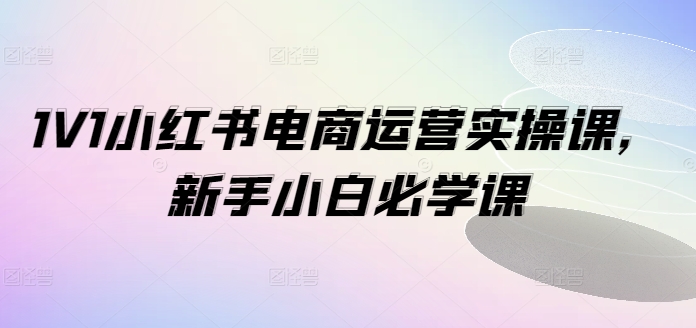 1V1小红书电商运营实操课，新手小白必学课-禾谷轻创网