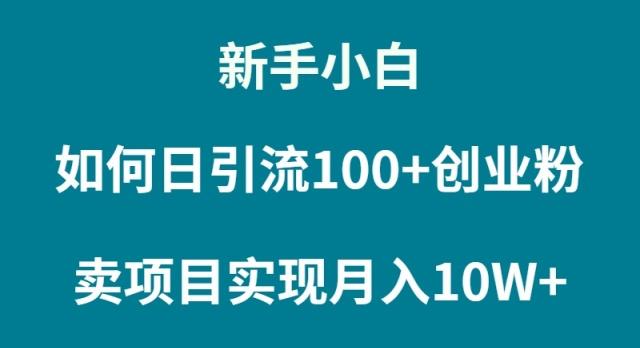 (9556期)新手小白如何通过卖项目实现月入10W+-禾谷轻创网