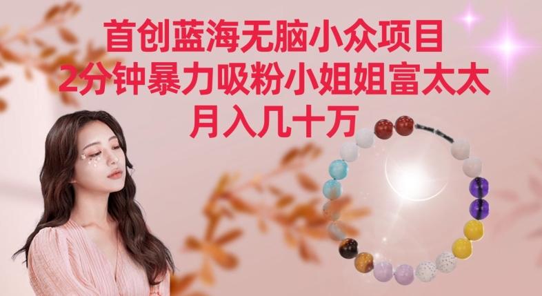 首创蓝海无脑小众项目，2分钟暴力吸粉小姐姐富太太，月入几十万【揭秘】-禾谷轻创网