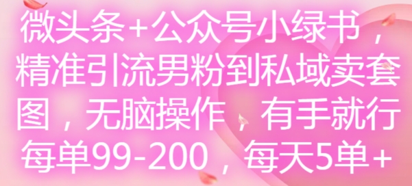 微头条+公众号小绿书，精准引流男粉到私域卖套图，无脑操作，有手就行，每单99-200，每天5单-禾谷轻创网