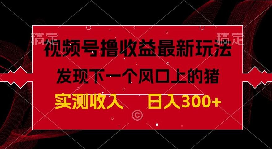 视频号分成计划最新玩法，单条作品几分钟制作完成,日入300+，过年前最后的冲刺-禾谷轻创网