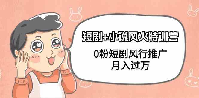 小说+短剧风火特训营，0粉短剧小说风行推广，实现月入过万-禾谷轻创网